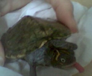 Bild 002.jpg Bild 002.jpg