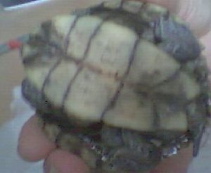 Bild 003.jpg Bild 003.jpg