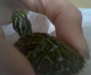 Bild 004.jpg Bild 004.jpg