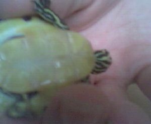 Bild 005.jpg Bild 005.jpg