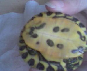 Bild 007.jpg Bild 007.jpg