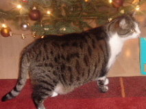 12.12.05-11.12.06 005 Tim.jpg