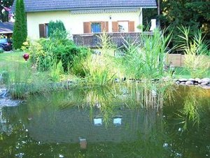 teich1.JPG teich1.JPG