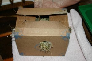 Bild 533 (Small).jpg