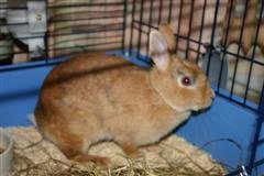 Bild 544 (WinCE).jpg