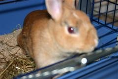 Bild 541 (WinCE).jpg