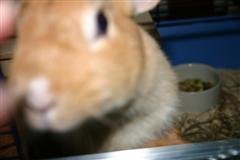 Bild 543 (WinCE).jpg