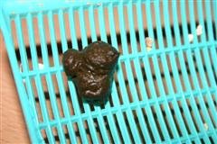 Bild 545 (WinCE).jpg