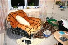 Bild 584 (Small) (WinCE).jpg