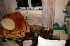 Bild 585 (Small) (Custom) (WinCE).jpg