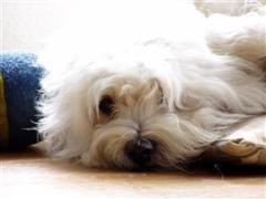 Bild 032 (Small) (WinCE).jpg