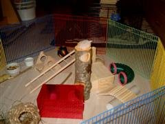 Ebay 031 (WinCE).jpg