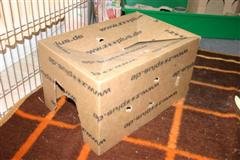 Bild 565 (Medium) (WinCE).jpg