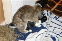 Bild 685 (WinCE).jpg