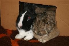 Bild 678 (WinCE).jpg