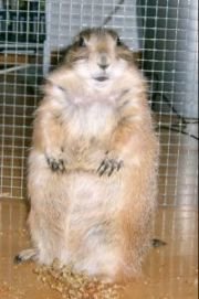 Emma Trauerfoto2 verkleinert.jpg