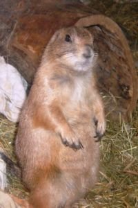 Diego Trauerfoto verkleinert.jpg