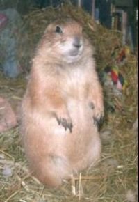 Pablo Trauerfoto 2 verkleinert.jpg