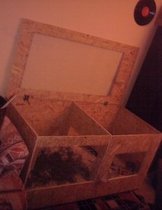 KÃ¤fig von Mori.jpg