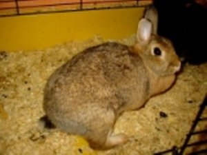 Kopie von 13.Okt.06 (1).JPG