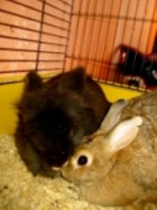 Kopie von 13.okt.06 (3).JPG