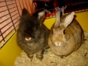 Kopie von 13.okt.06 (4).JPG