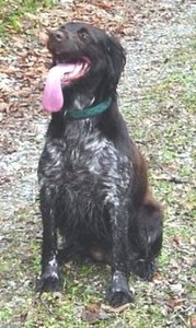 Rica, sauloch, November 06.jpg Rica, sauloch, November 06.jpg