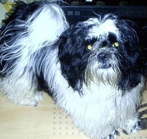 bilder samsung 030.jpg