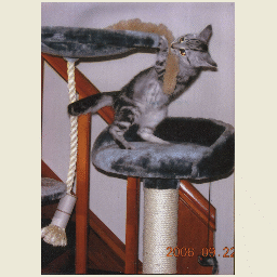 mona beim spielen.PNG mona beim spielen.PNG