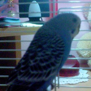 Ohne Titel-1 Kopie.jpg