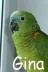 Gina.JPG