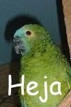 Heja.jpg