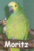 Moritz.JPG