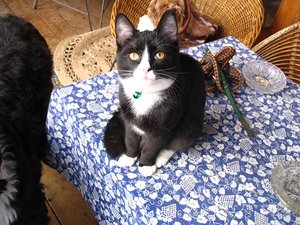 IMG_0879kleiner.jpg IMG_0879kleiner.jpg