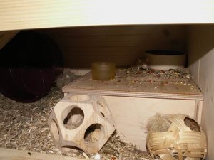 9) 2. Etage - Schlafhaus.JPG