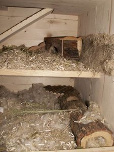 13) Erdgeschoss1.JPG