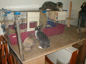 P1010049.JPG P1010049.JPG