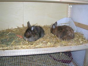 Im neuen Heim (1)web.JPG