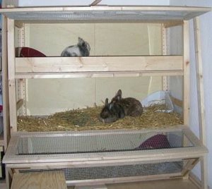 Im neuen Heim (3)web.JPG