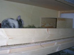 Im neuen Heim (5)web.JPG