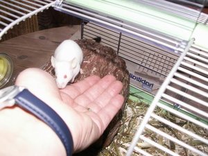 GrÃ¶ÃŸenÃ¤nderung PICT1890.JPG