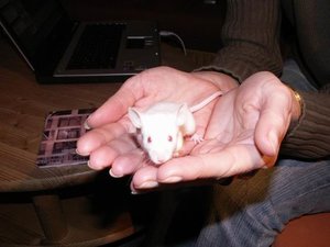 GrÃ¶ÃŸenÃ¤nderung PICT1917.JPG