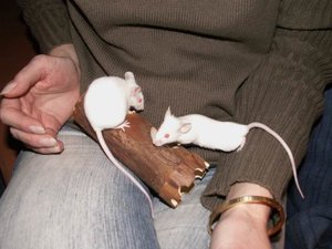 GrÃ¶ÃŸenÃ¤nderung PICT1928.JPG