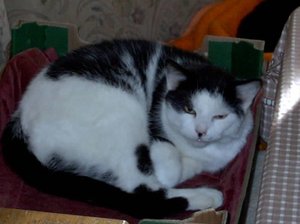 IM000154.JPG IM000154.JPG