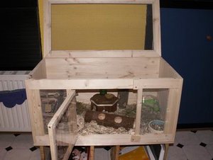 GrÃ¶ÃŸenÃ¤nderung PICT2072.JPG