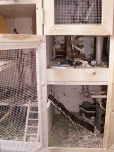 GrÃ¶ÃŸenÃ¤nderung Drehen von PICT2235.JPG