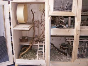 GrÃ¶ÃŸenÃ¤nderung PICT2236.JPG