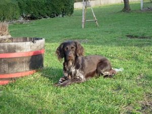 Rica 2 MÃ¤rz 05.jpg