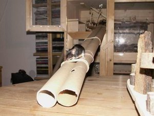 GrÃ¶ÃŸenÃ¤nderung PICT2135.JPG