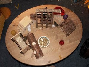 GrÃ¶ÃŸenÃ¤nderung MÃ¤use 2-2007052.JPG